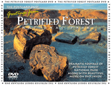 Petrified logs in Painted Desert, Petrified Forest National Park, AZ.