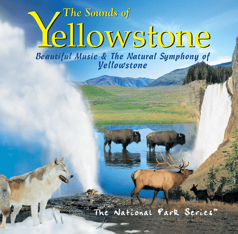 Photo collage of animals and landscapes in Yellowstone National Park
